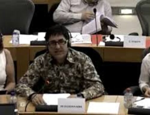IRPH – INTERVENCIÓN ANTE LA COMISIÓN DE PETICIONES DEL PARLAMENTO EUROPEO – ABRIL 2.015
